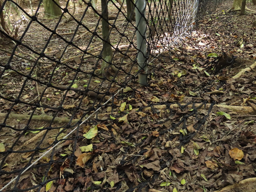 貼地後另留50公分長，讓野生動物斷念進入圍網。攝影：廖靜蕙
