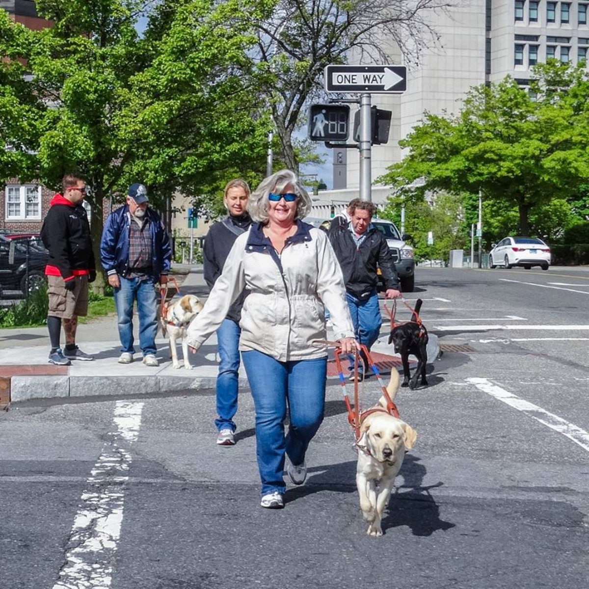 中心的導盲犬,為許多盲人帶來了日常生活中的便利。(Guiding Eyes for the Blind)