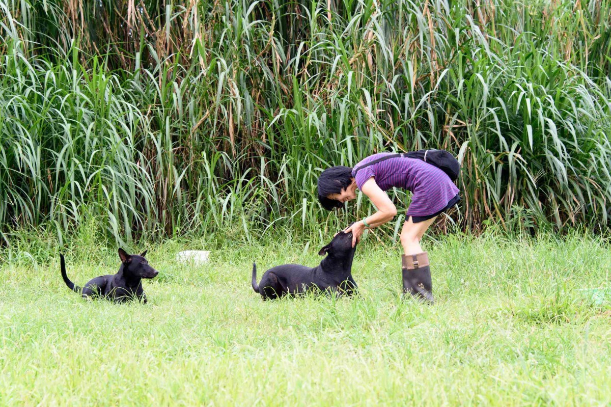 愛媽是讓人類與浪犬緩和衝突的一道溫暖的存在。（圖片／動平會提供、許閔皓攝）
