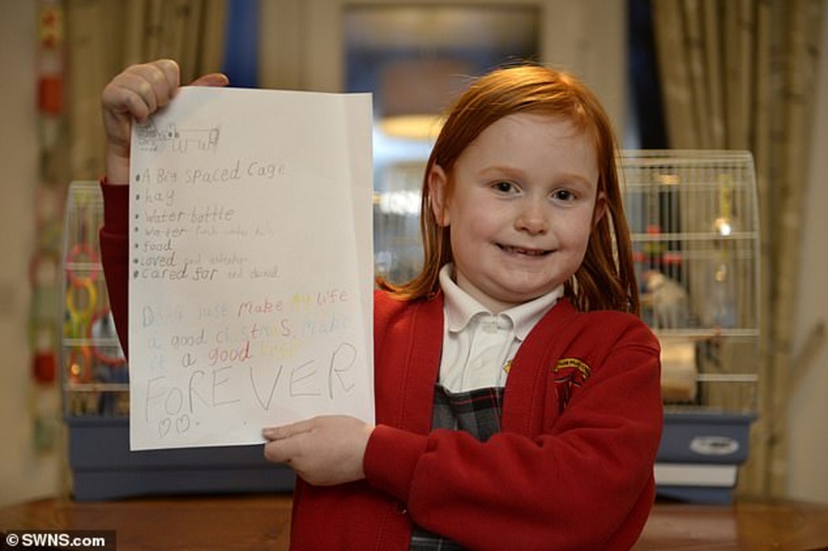 當Poppy知道有隻小兔子被養在抽屜裡時，她手畫了一張海報，希望大家都要做個負責任的主人。（SWNS）