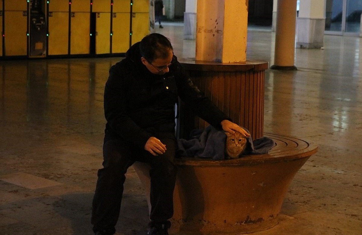 貓貓因而得到溫暖。（Daily Mail圖片）