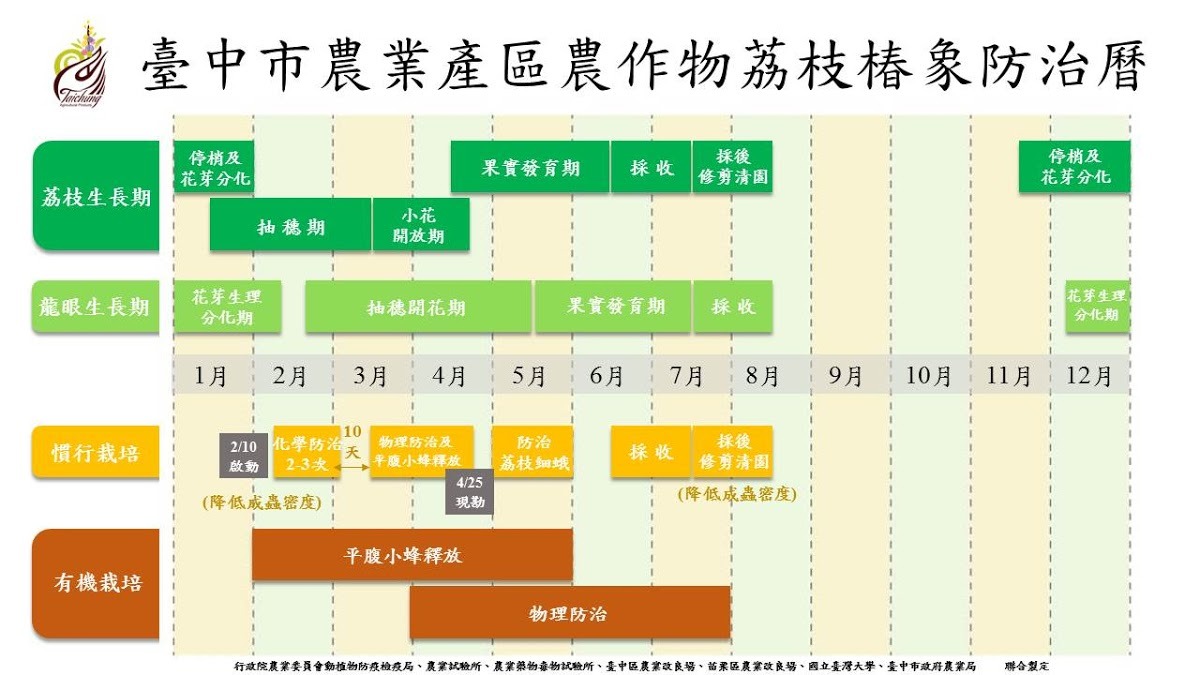 台中市農業局製作「107年度台中市農業產區農作物荔枝椿象防治曆」要全面防蟲。  台中市農業局/提供