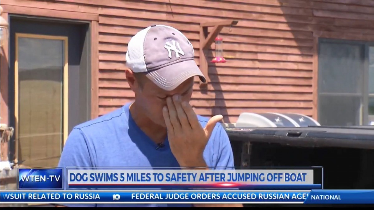 其後哈士奇主人接受傳媒訪問時，提起事件仍忍不住落淚。（KOIN 6 News截圖）