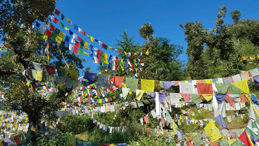 興都庫什喜馬拉雅地區中有不少宗教場所,周圍小樹林的生物多樣性顯得更加豐富。Photo credit: Vita wu