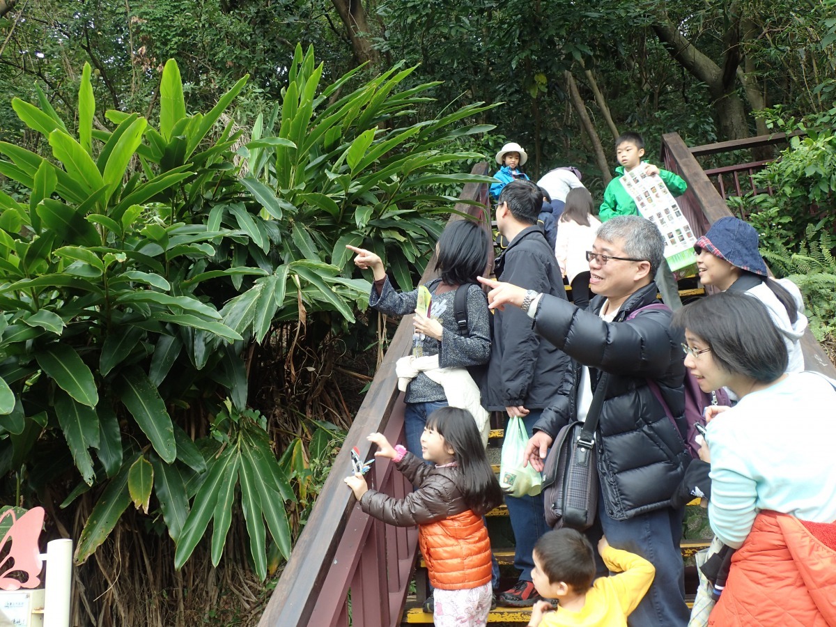 「劍南蝶園」賞蝶生態導覽活動。台北市政府工務局/提供