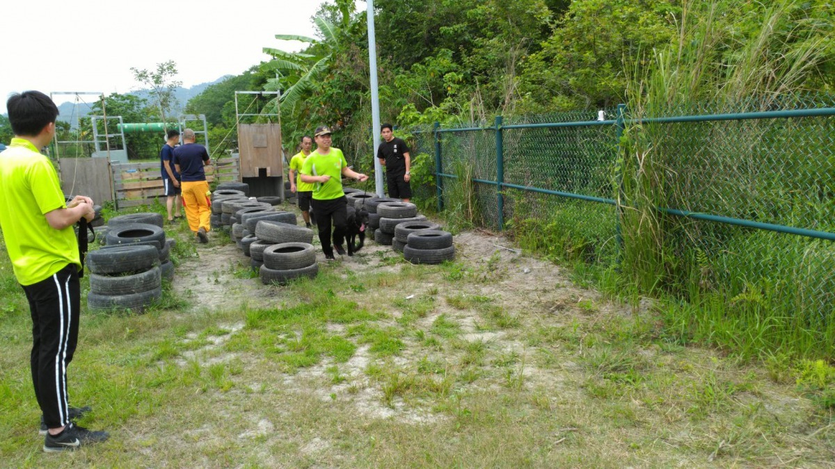 國內自訓搜救犬通過國際搜救犬高級認證以來，搜救犬培訓技術快速的提升，搜救犬隊紛紛成立。周聰吉/提供
