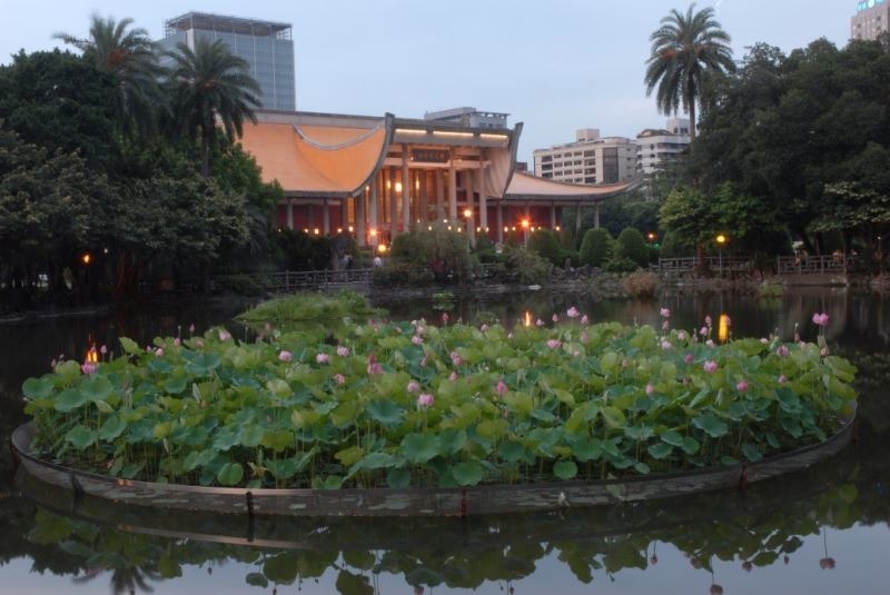 國父紀念館中山公園翠湖夏荷風情。文化部/提供