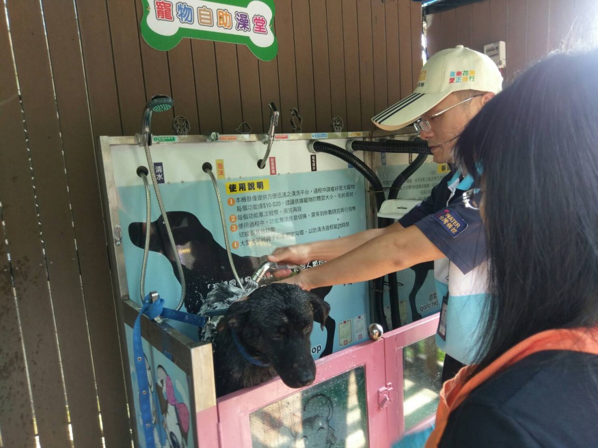 潭美毛寶貝快樂公園內有投幣式自助毛孩洗澡機非常方便。雨林/攝