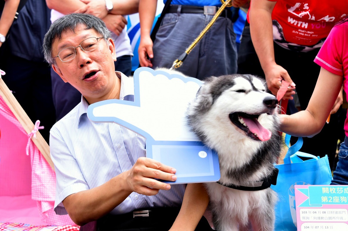 活潑熱情的哈士奇犬讓柯文哲嚇了一跳。雨林/攝