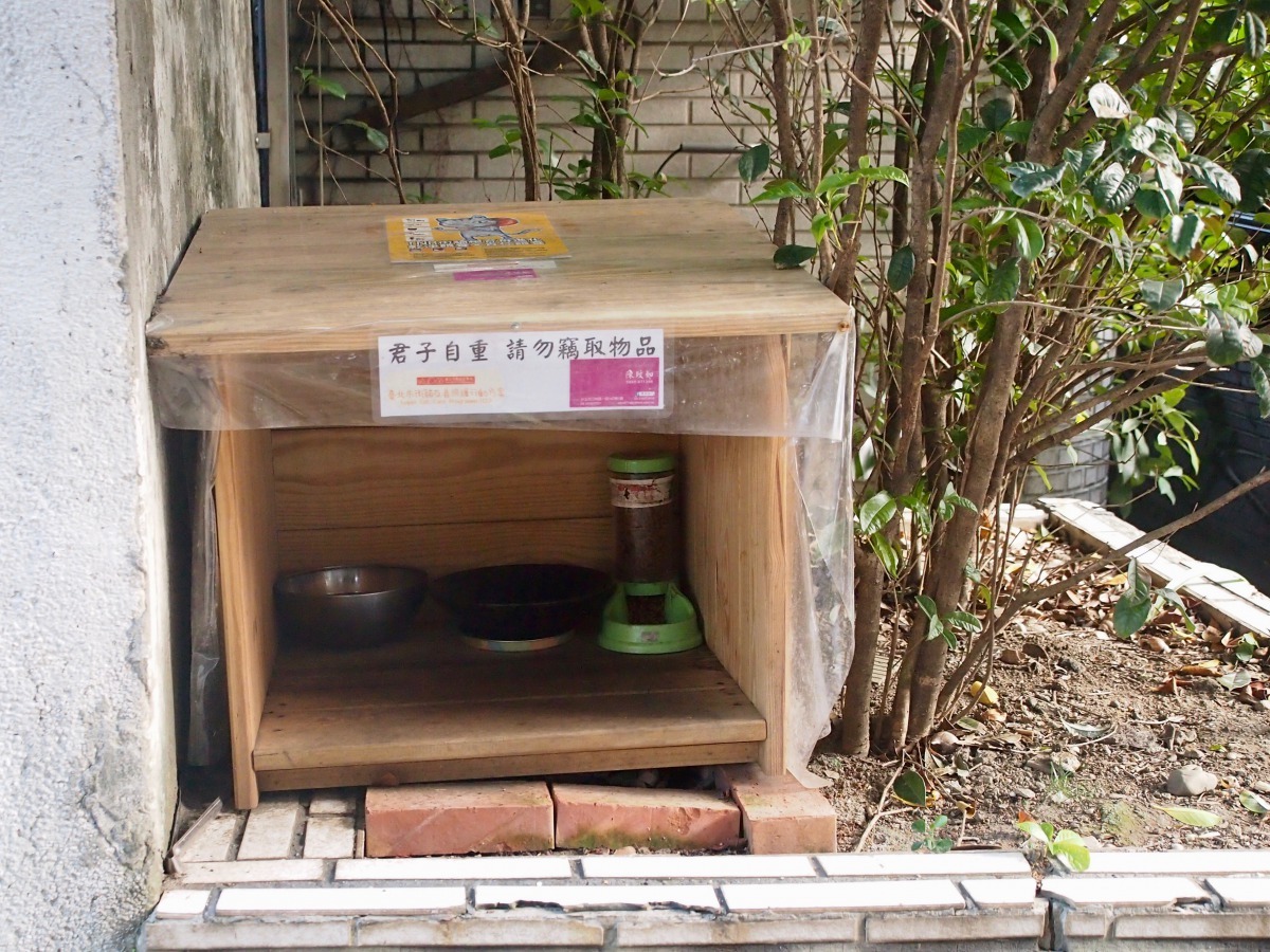 永昌里社區志工打造將乾淨餵食點，擺放在地勢較高處，方便浪貓取食。（圖片／白宜君攝）
