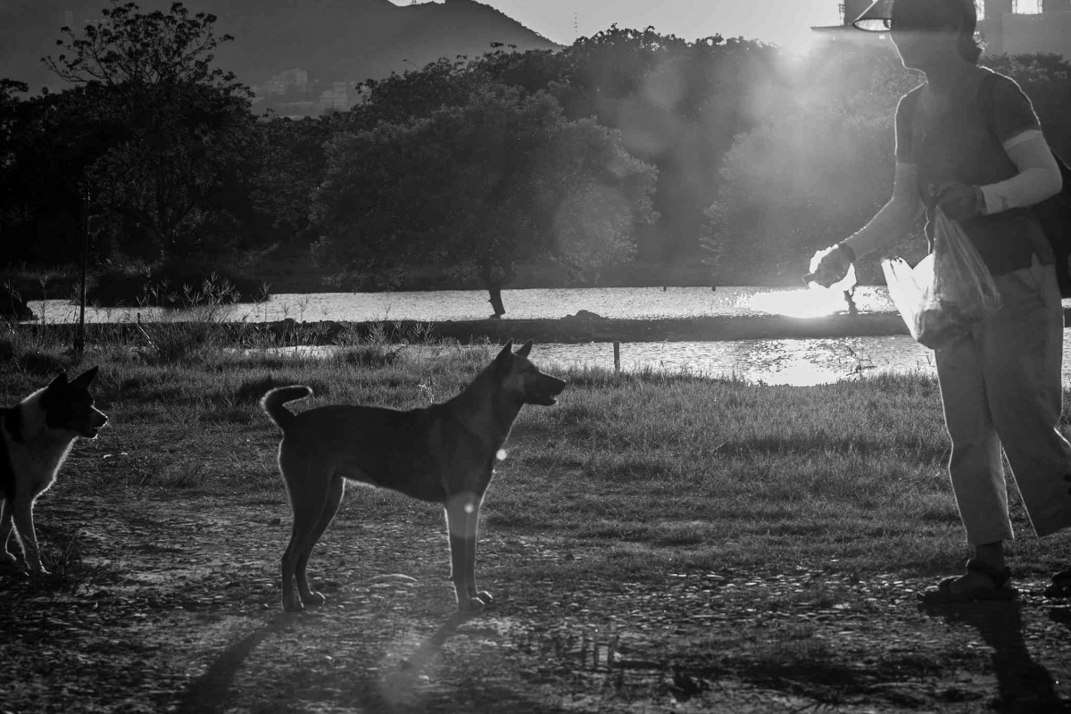 友善愛媽，讓愛媽可以接收到浪犬的窩心與同為人類的支持。（圖片／動平會提供、沈怡帆攝）