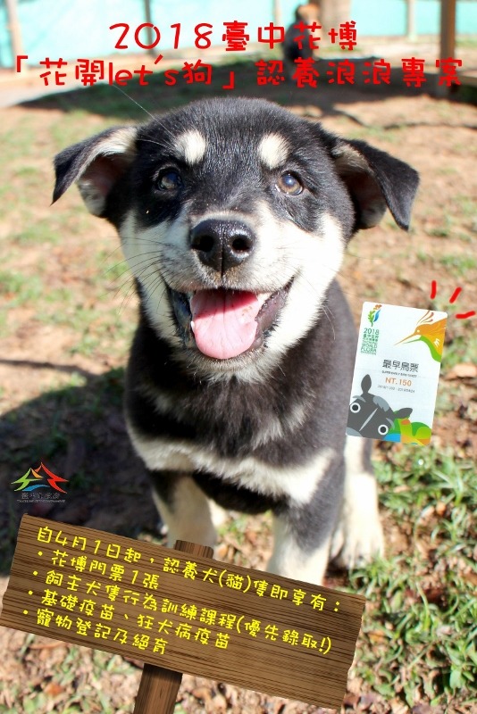2018臺中花博結合認養浪浪推出「花開Let’s狗」,凡認養1隻貓狗即可獲花博門票及多項優惠。台中市動保處/提供