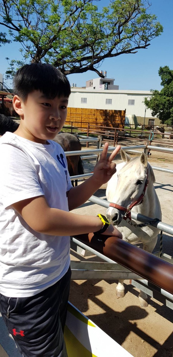 園區設有多個活動場地，民眾可以近距離欣賞馬匹並拍照紀念。李怡萱/攝