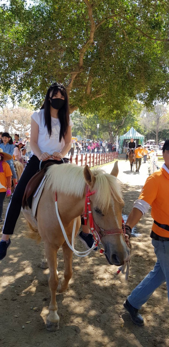 園區有馬匹牽騎體驗。李怡萱/攝