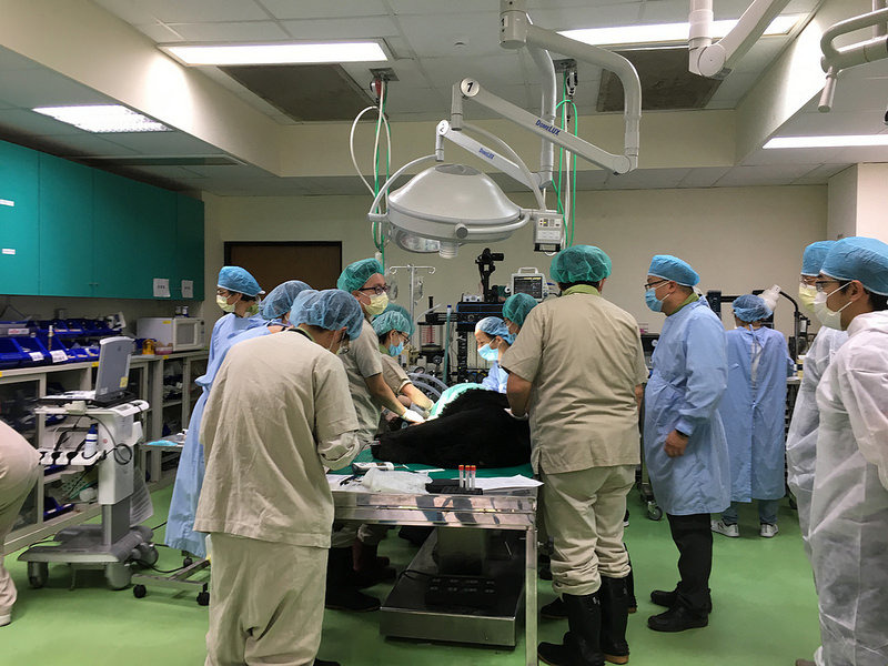 11月8日,醫療團隊進行醫療及健康檢查。東勢處提供。