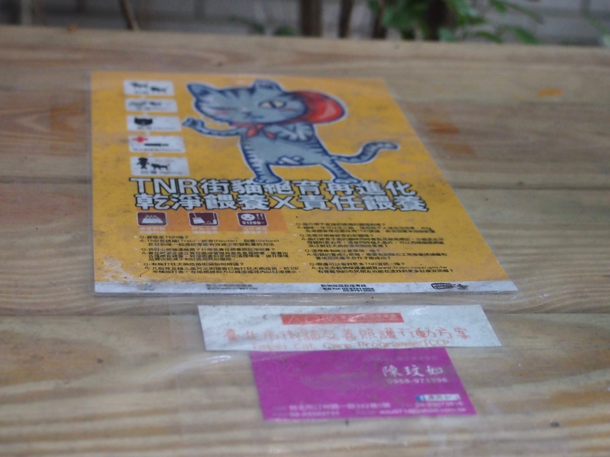 木板上明顯貼出動保處與社區里長的支持，並且宣導友善街貓。（圖片／白宜君攝）