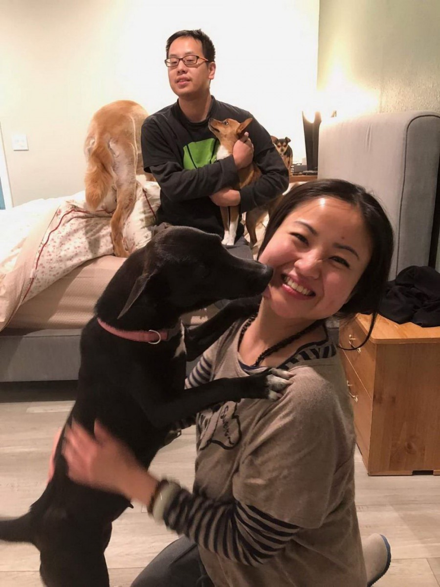 幸運被領養的「白腳蹄」浪犬和家人前往美國生活。屏東縣政府/提供