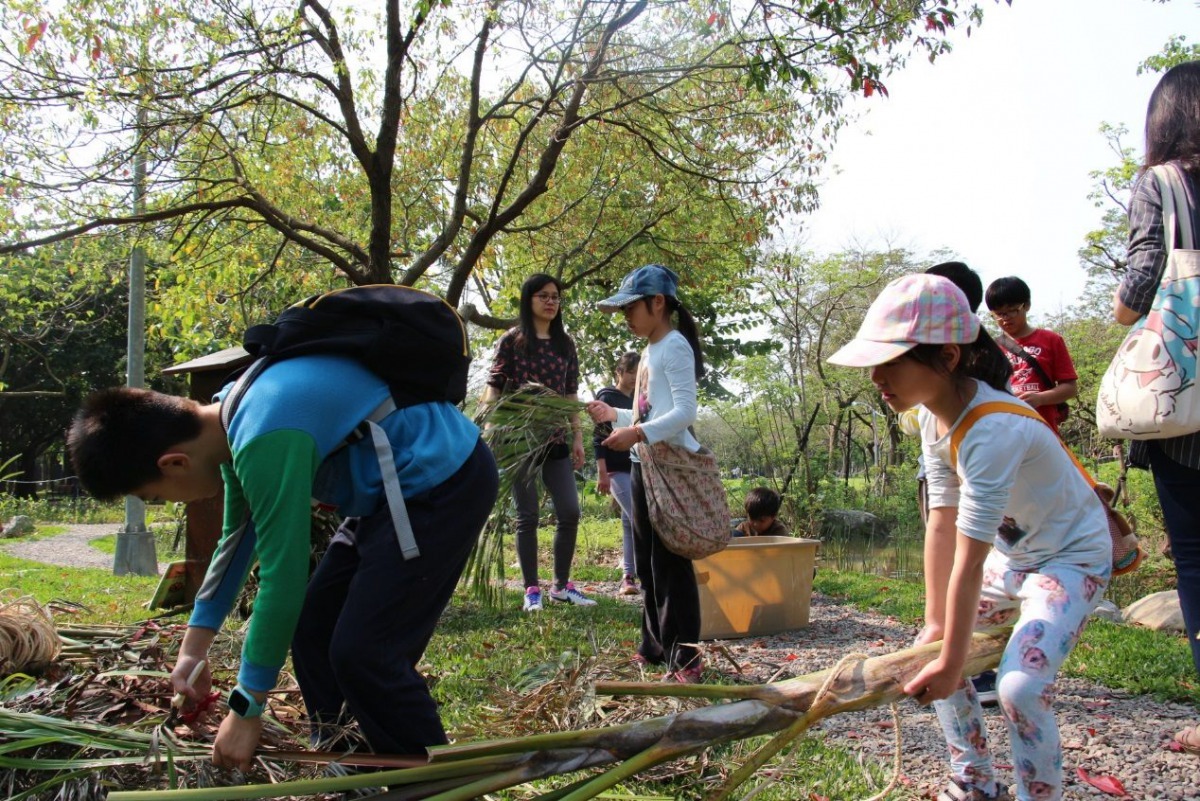 小朋友利用樹幹枯枝打造生物旅館。台北市公園處/提供