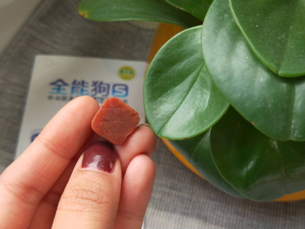6效合一口服藥｢全能狗S｣，採低劑量的安全設計，每月使用一顆，不僅能預防心絲蟲，防治鉤蟲、蛔蟲和鞭蟲，更可有效殺滅常見的跳蚤和壁蝨。廠商/提供