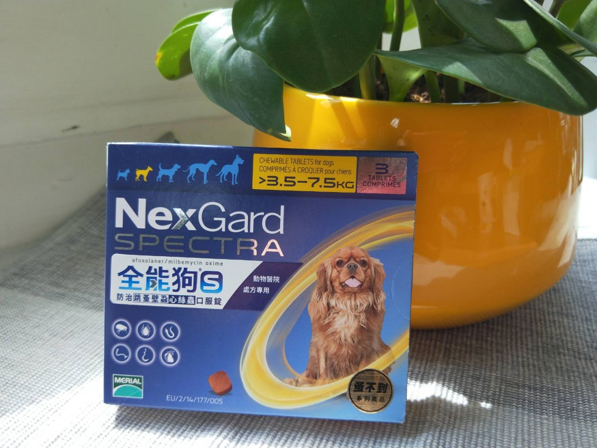 寵物主人除了帶狗狗貓咪定期做健康檢查外，還必須搭配每個月定期投藥預防內外寄生蟲，讓預防沒有漏洞。雨林/翻攝