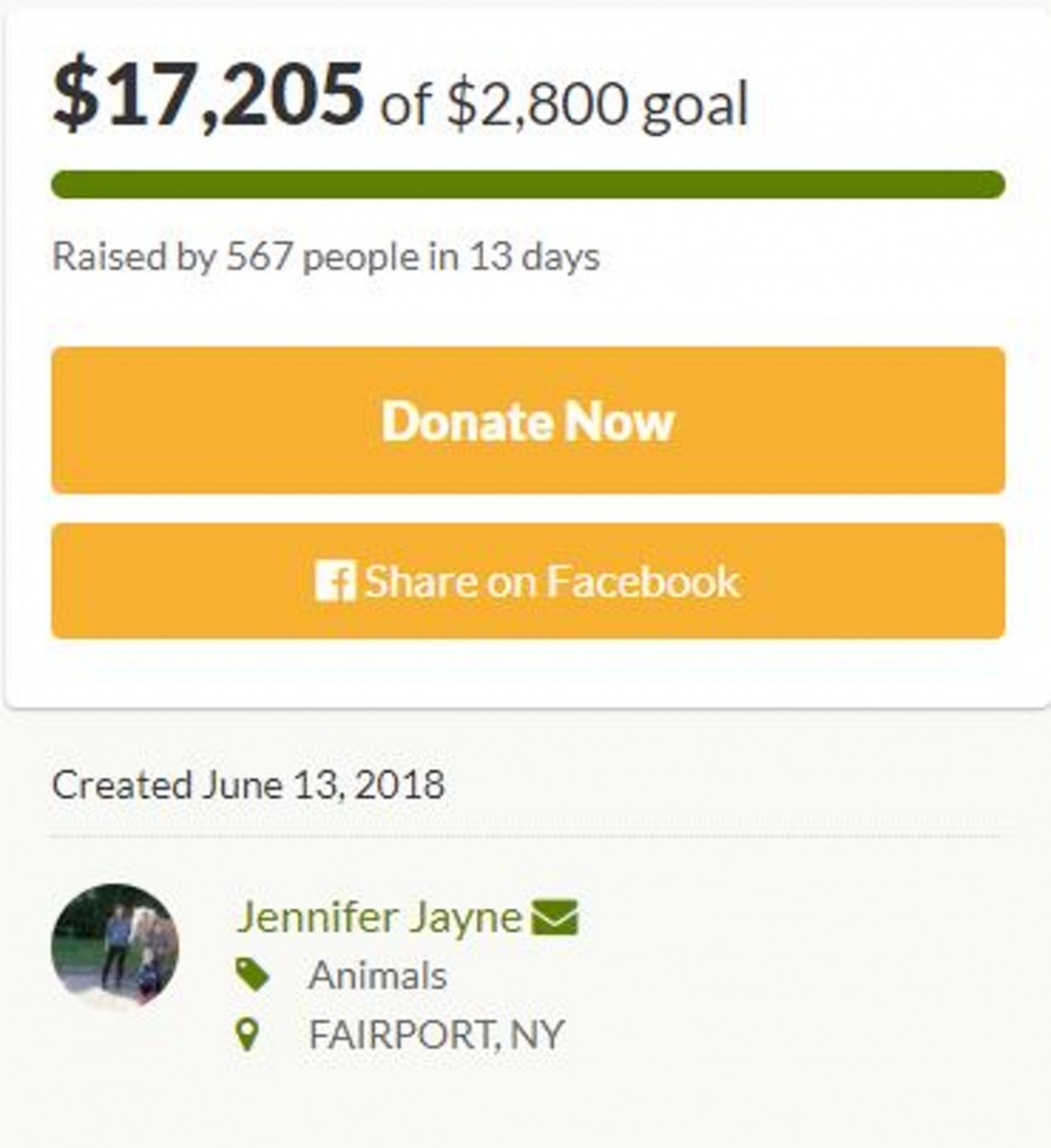 眾籌結果遠超預期目標。（圖自GoFundMe）