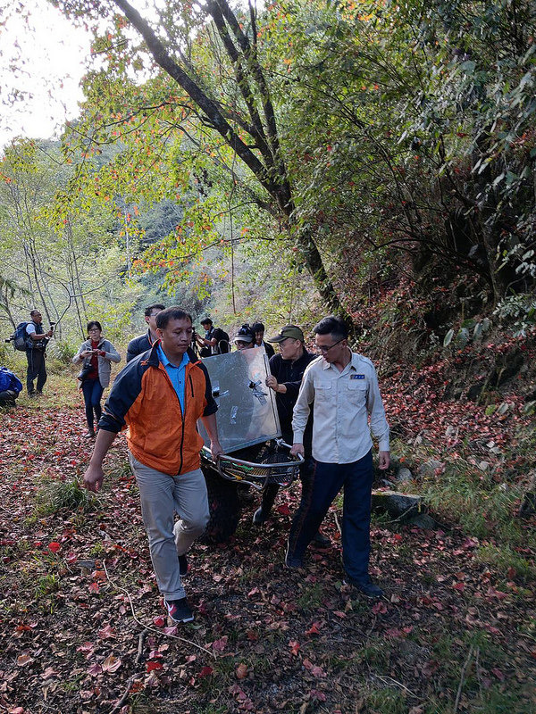 11月22日下午,以擔架及獨輪車護送黑熊返回森林。東勢處提供。