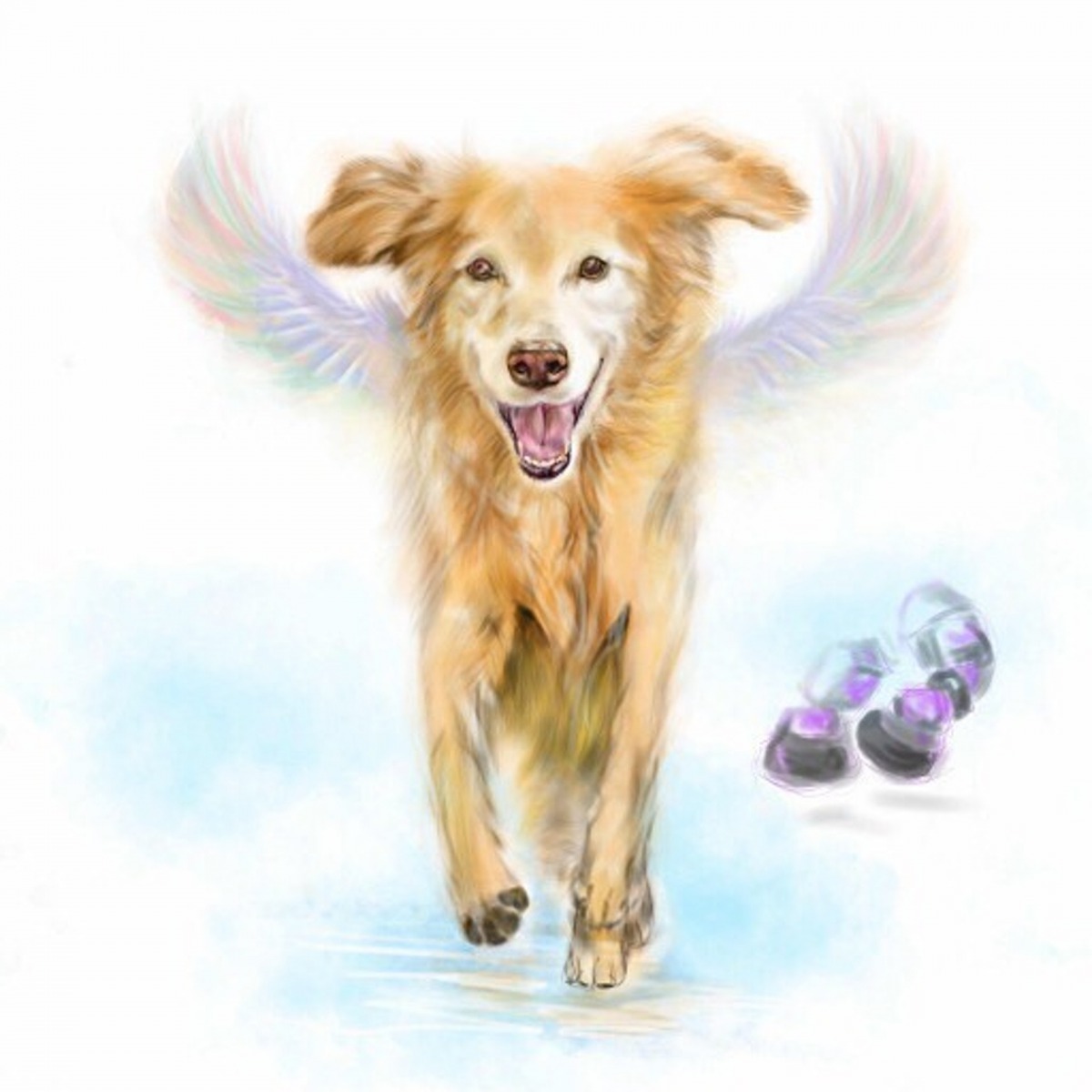 部分支持者繪製了畫像紀念牠。（Instagram@chichirescuedog）