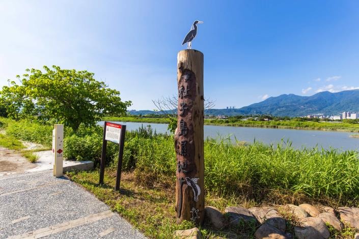 社子島濕地。台北市政府/提供