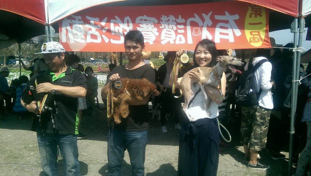 活動中飼主和狗兒都玩的相當開心。屏東縣政府/提供