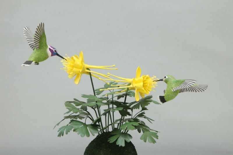 ハチドリ_蜂鳥_土山ひとみ_日本。文化部/提供