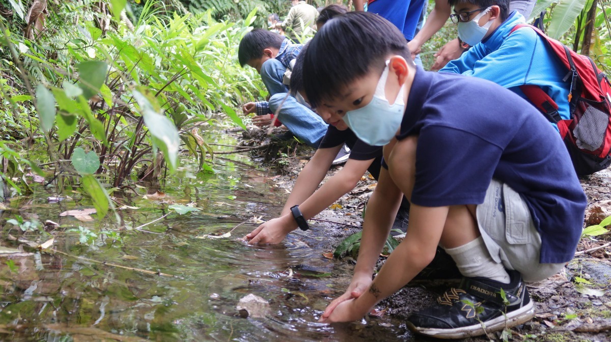 「永續馬明潭-與昆蟲共舞」讓臺北市學生有機會近距離觀察昆蟲。臺北市政府/提供