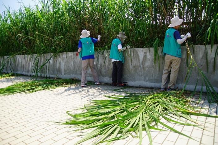 特教實習學生採收狼尾草。臺北市立動物園/提供 李俊緯/攝