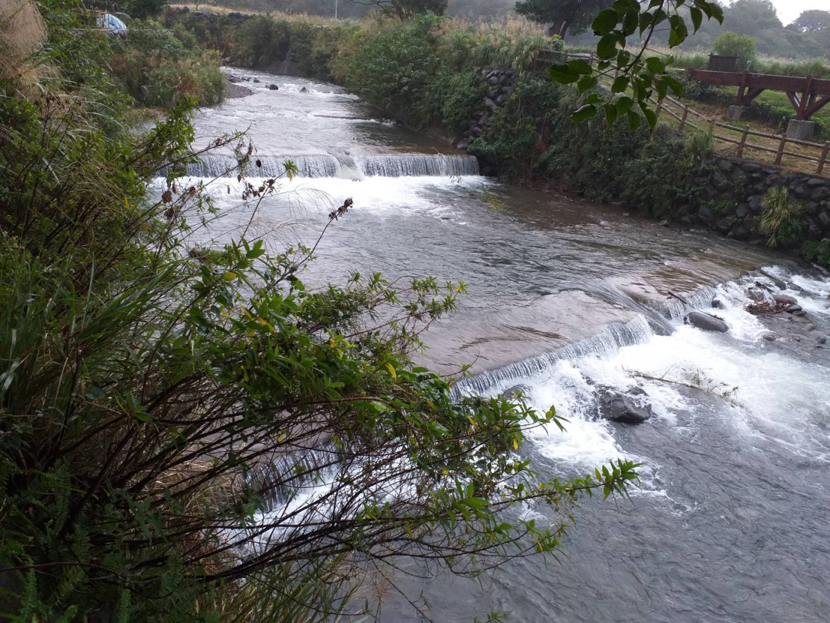 大大增加八蓮溪內物種棲地空間,除了確保防洪安全外,同時也兼顧了生態保育。鄭國賢/提供