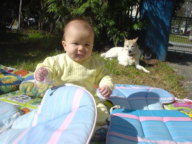 學童家中有同伴動物者，較為其他沒有同伴動物的兒童相對健康，因為幼兒從小就接觸到不同的抗原。劉威良/提供