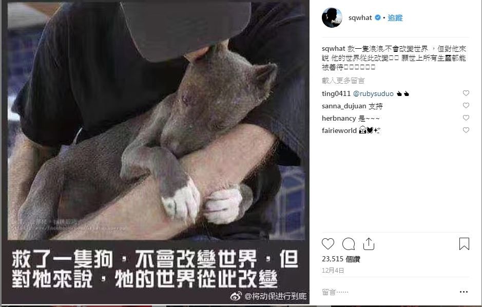她常在社交平台上宣揚保護動物的訊息。(Instagram@sqwhat)
