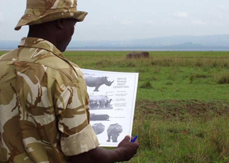 野生動物並非唯一的犧牲者。非法野生動物盜獵，造成動物從自然環境消失，間接影響旅客觀光意願減低，對於依賴觀光業的非洲和亞洲的一些貧窮地區來說，也將造成極大打擊。來源:Mongabay
