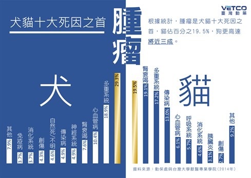腫瘤高居貓狗十大死因之首  (圖片來源：臺灣動藥)