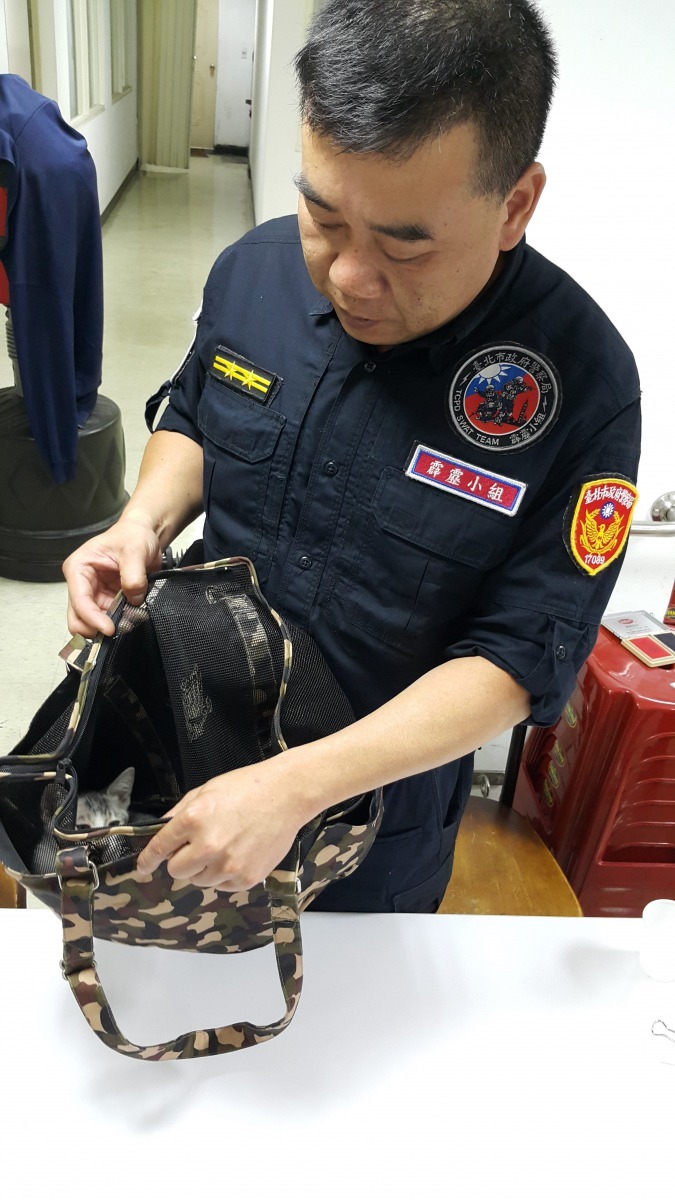 特警在逮捕嫌犯時一隻小貓竟從嫌犯包包中逃出，警方費了一番功夫才將小貓抓回。台北市政府/提供
