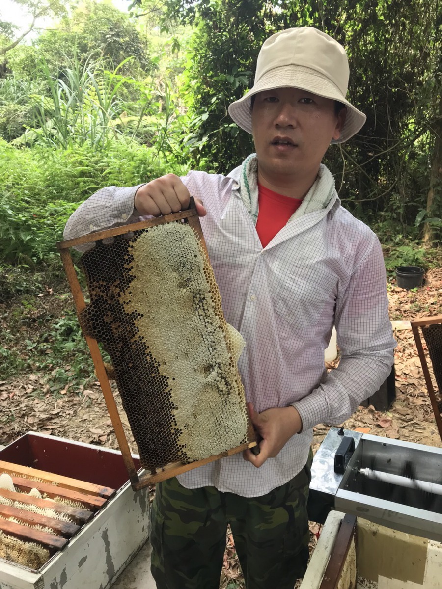 陳冠樺展示養蜂成果。新北市政府/提供
