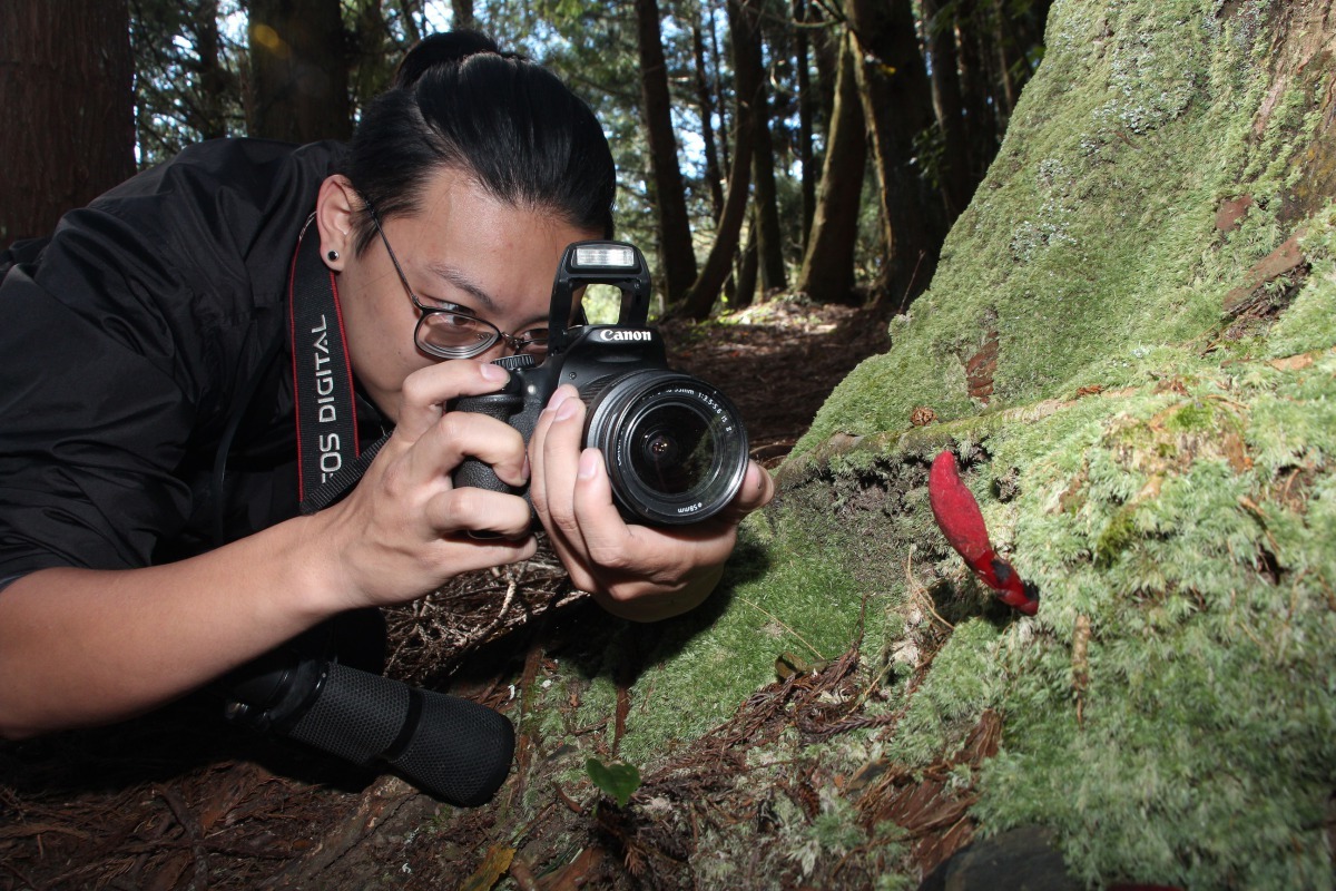 沈仲為的興趣是生態攝影。新北市農業局/提供