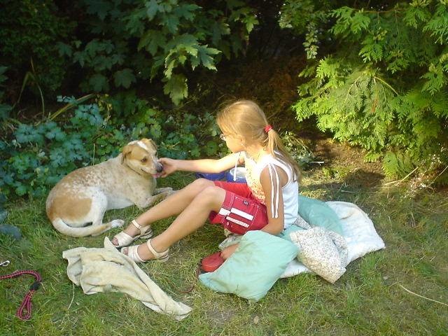 動物代表與大自然的連結，也讓人更為依賴身邊的同伴動物，因為牠們幾乎成了都市人與大自然唯一的連結。劉威良/提供