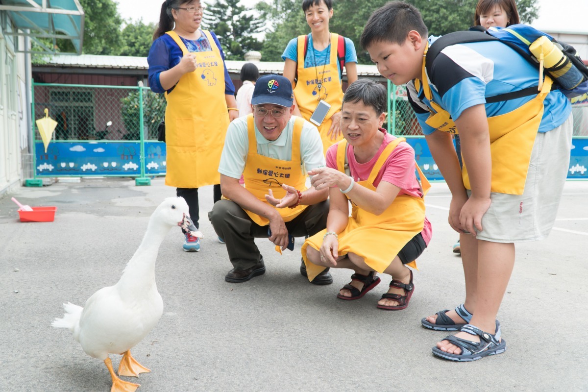 板橋動物之家園區內除了設置有適合毛寶貝運動的寵物運動公園，園內的荷花池還養著可愛的流浪鴨ㄚㄚ。劉凱/翻攝