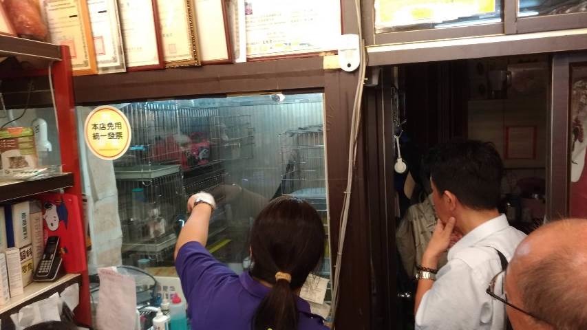 消保官查核項目包括「寵物買賣定型化契約」、「寵物寄養定型化契約」、「寵物美容定型化契約」，以及「寵物食品標示」等4大項目。新北市政府/提供