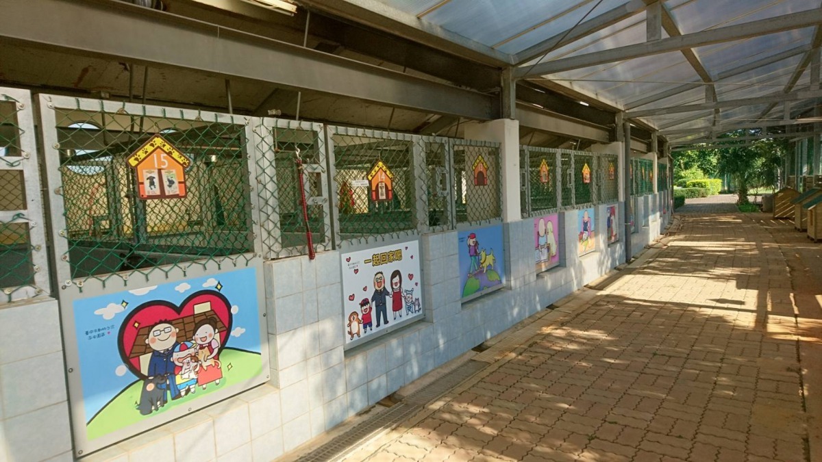 零撲殺以後，收容量有限 如何有效管理流浪毛小孩，是政府最大的難題。2017年台中市公立收容所，可愛動物之家  劉威良/攝