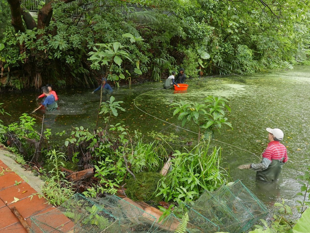 木柵萃湖生態復育志工培訓實地棲地維護實作。台北市政府/提供