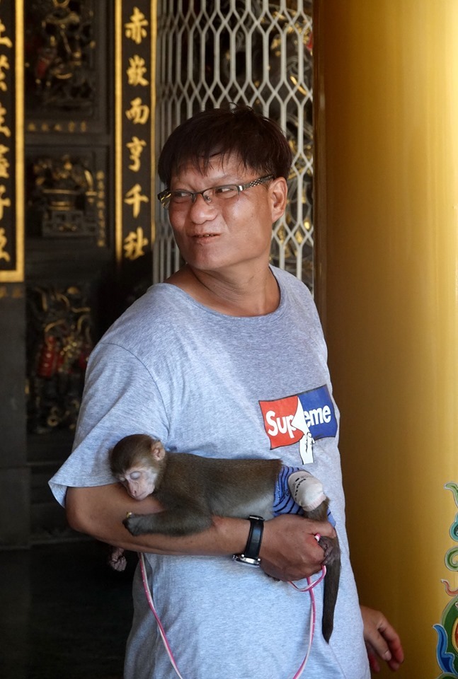 住高雄的林先生帶著他養的小猴子「梨子」到台南玉皇宮進香。圖／陳俊文提供