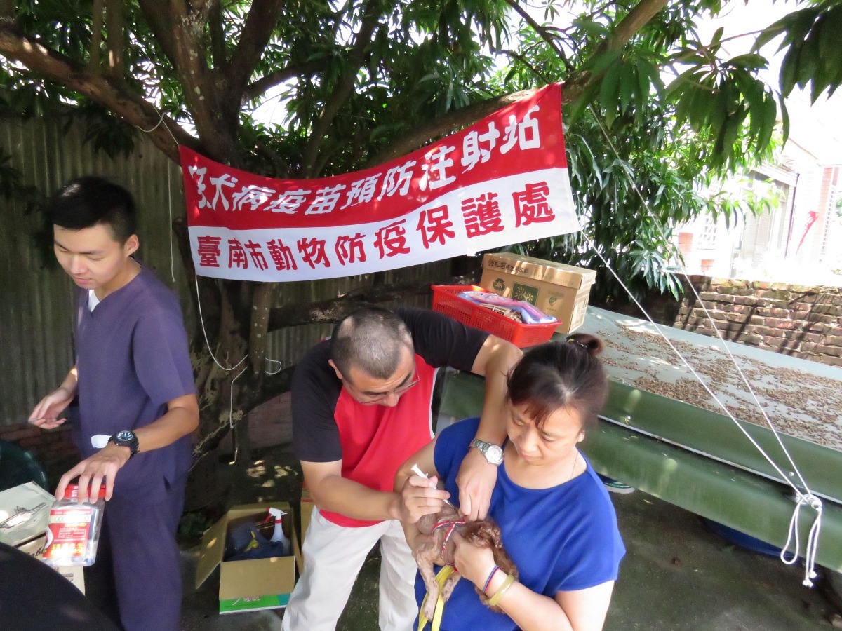 狂犬病疫苗是降低人被狂犬病鼬獾咬到的最佳方式。高維奇／攝