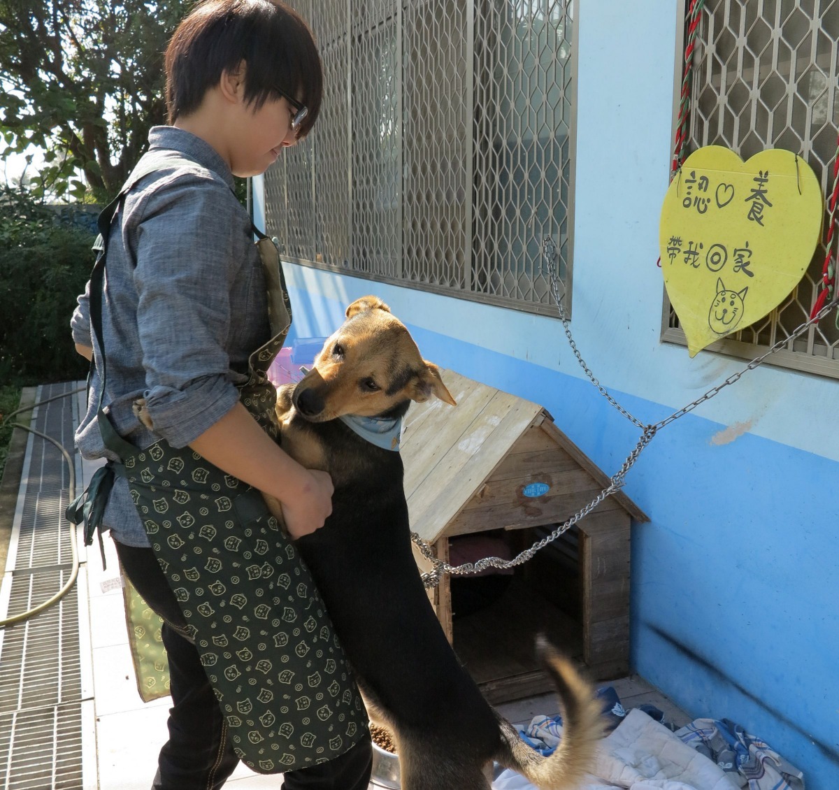 收容所竭力招募志工協助各項照護工作。高維奇／攝