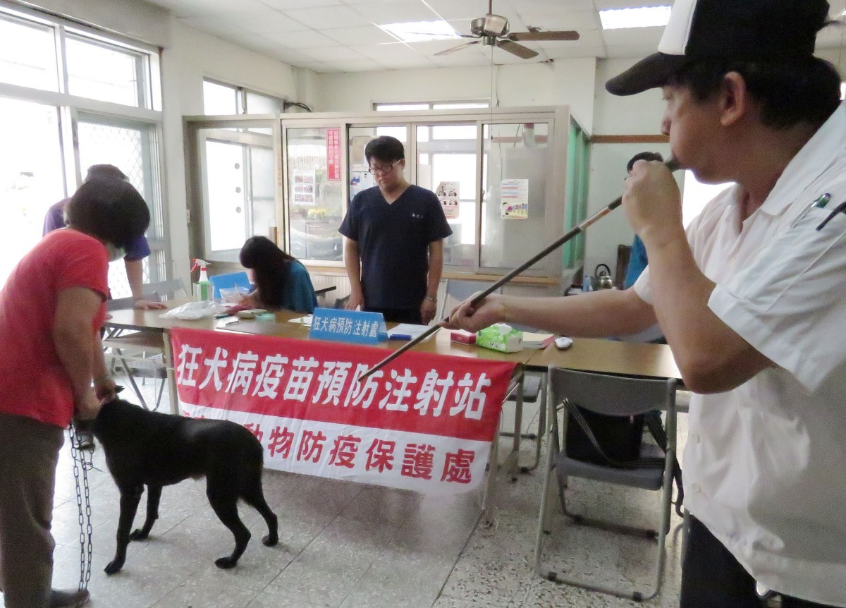 狗太兇了，獸醫師不得不起用吹箭注射。高維奇／攝