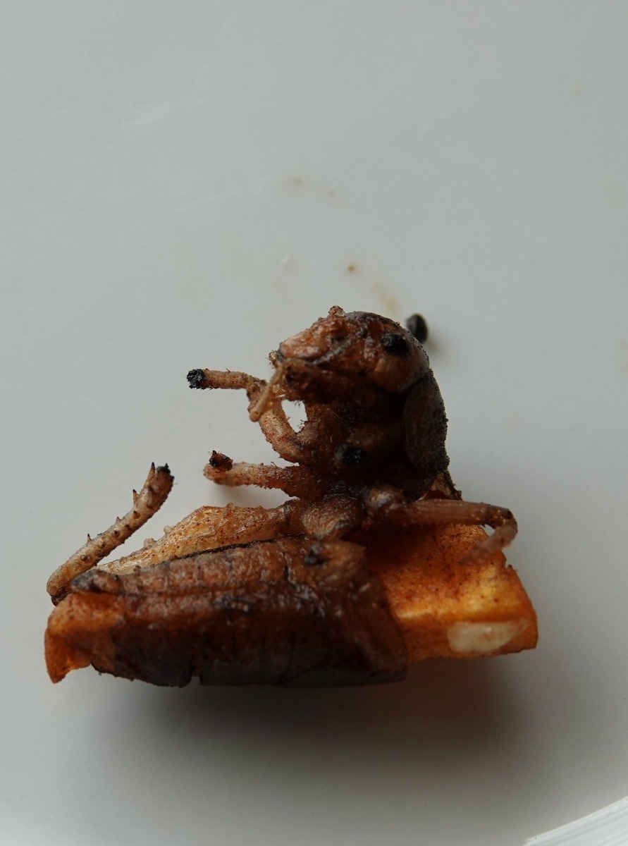 將肚猴的腸胃內臟擠出，塞進小薯條後油炸。高維奇／攝